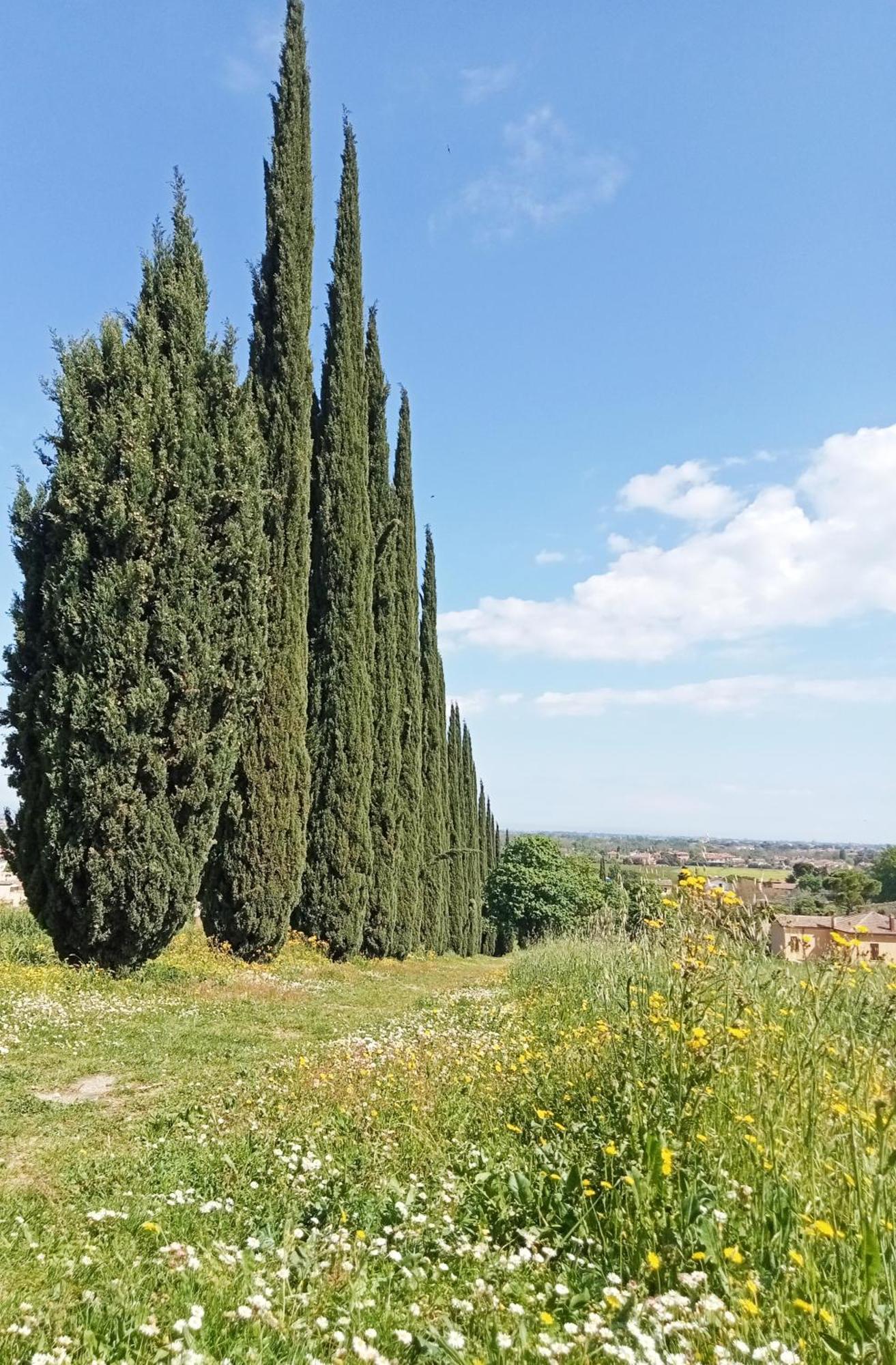 Casalice Daire SantʼArcangelo di Romagna Dış mekan fotoğraf